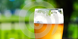 Beer in a glass glass glass, bubbles rise. On the background of green foliage glass with Golden drops.