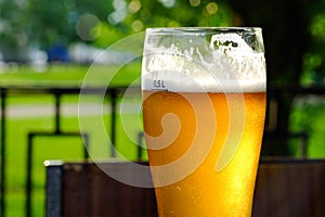 Beer in a glass glass glass, bubbles rise. On the background of green foliage glass with Golden drops.