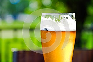 Beer in a glass glass glass, bubbles rise. On the background of green foliage glass with Golden drops. photo