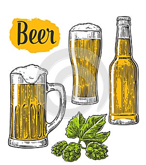 Beer glass, mug, bottle, hop. Vector vintage engraved illustration isolated on white background