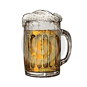 Beer in glass mug with foam. Hand drawn vector illustration