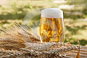 Beer glass and raw material for beer production