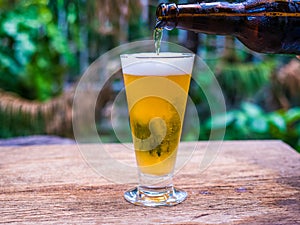 Beer glass on wood background