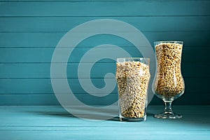 Beer glasses with barley malt  on black background. Craft beer brewing from grain barley pale malt. Homemade ale or lager from