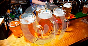 Beer in glasses on a wooden counter