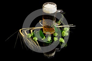 Beer glassware with beer, branch of hops, ears of barley