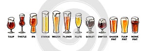 Beer glassware guide. Various types of beer glasses. Hand drawn vector illustration