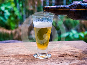 Beer glass on wood background