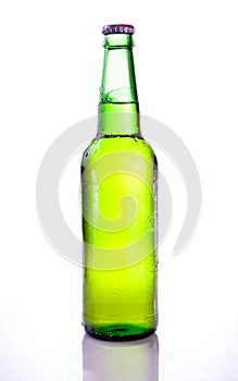 Beer Green Bottle with Condensation