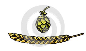 Beer hop cone and barley or wheat ear icons. Design element for beer prodaction, brewery, pub and bar