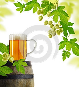 Beer and hop plant in retro style