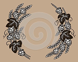 Beer hops branches with wheat barley ears, leaves and hop cones. Elements for brewery design, beer prodaction, pub and