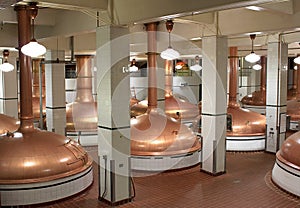 Beer kettles in brewery photo
