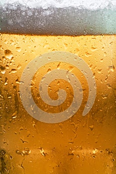 Beer Macro