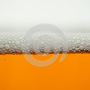 Beer macro background