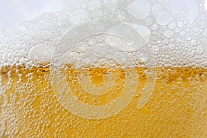 Beer macro foam and bubbles