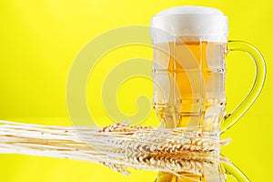 Beer mug and bottles on yellow background
