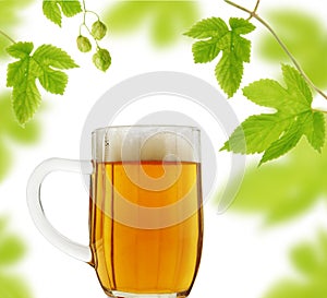 Beer mug and hops