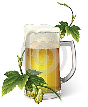 Beer mug, hops, vector