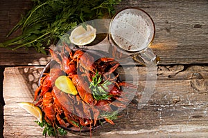 Beer party. Still life with beer, crayfish crawfish on old wooden rustic background. Top view. Overhead. Copy space.