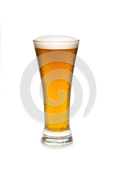 Beer In a Pilsner Glass photo