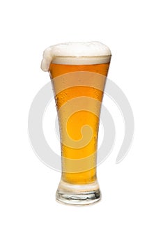 Beer In a Pilsner Glass with foam Top photo