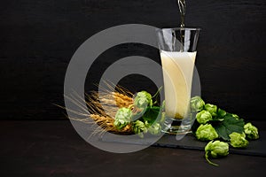 Beer pouring into a glass. Glass of beer with green hops and wheat ears on dark wooden table