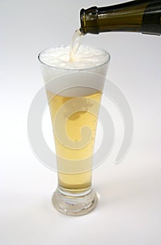 beer, pouring lager photo