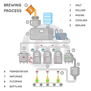 Beer process. Brewing infographic or brewery vector illustration