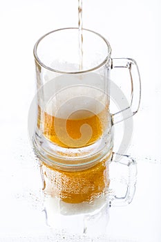 Beer with reflection