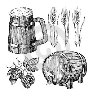 Beer set. Alcohol beverage hand drawn illustration.