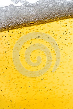 Beer shot close up