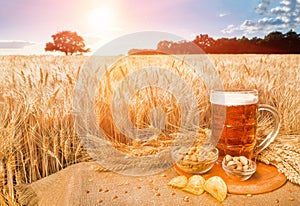Beer and snacks on the background wheat field. photo