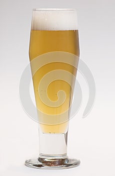 Beer in tall glass