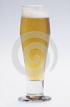 Beer in tall glass