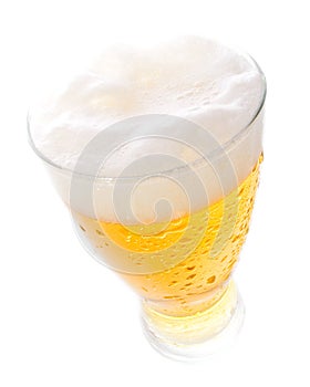 Beer on tall glass