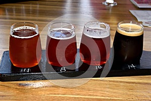 Beer tasting flights at brewery
