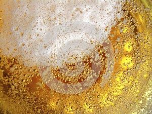 Beer Texture photo