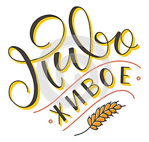 Beer is unpasteurized - russian colored lettering with doodle wheat spike. Multicolored vector illustration isolated on