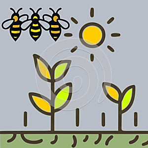 Bees agriculture sun vector graphics