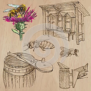 Bees, beekeeping and honey - hand drawn vector pack 6