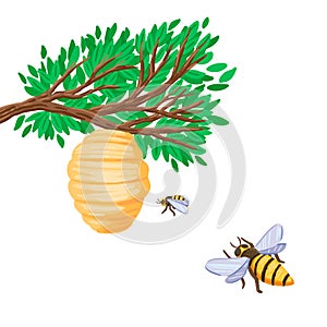 Bees are flying to the hive on a tree branch. Vector illustration