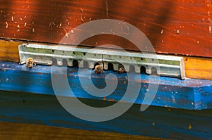 Bees in hive.Apiary.Macro.Insect