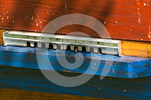 Bees in hive.Apiary.Macro.Insect