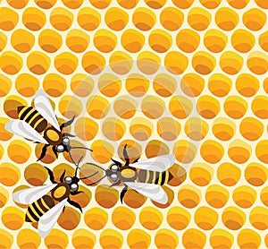 Bees on honeycells