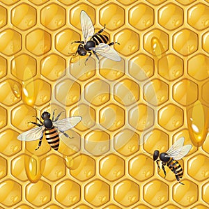 Bees and honeycomb