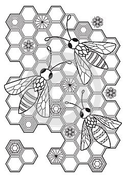 Bees in honeycombs antistress doodle coloring book page for adult. Zentangle insect black and white illustration