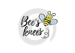 Bees knees phrase with doodle bee on white background. Lettering poster, card design or t-shirt, textile print