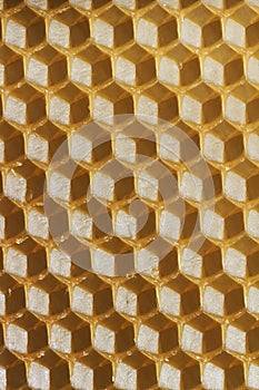 Beeswax background