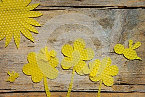 Beeswax, flowers, bees and the sun on wooden table